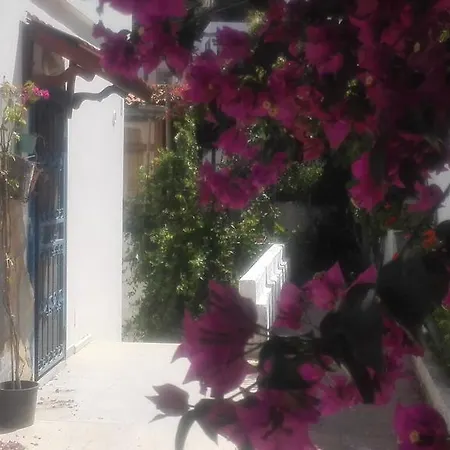 Sea View In Bodrum 阿克亚拉尔