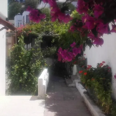 Sea View In Bodrum Akyarlar